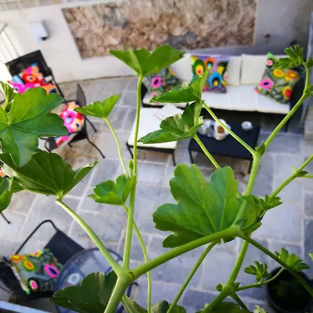 Art Lime Apartmán Cres