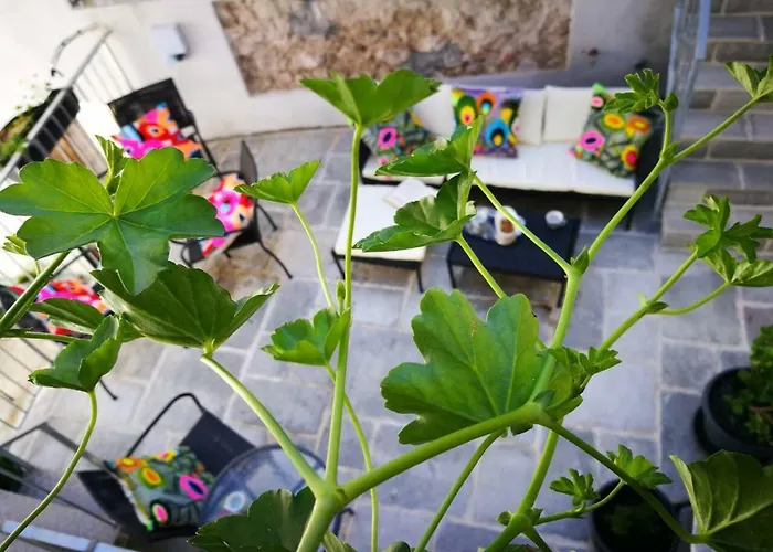 Art Lime アパート ツレス